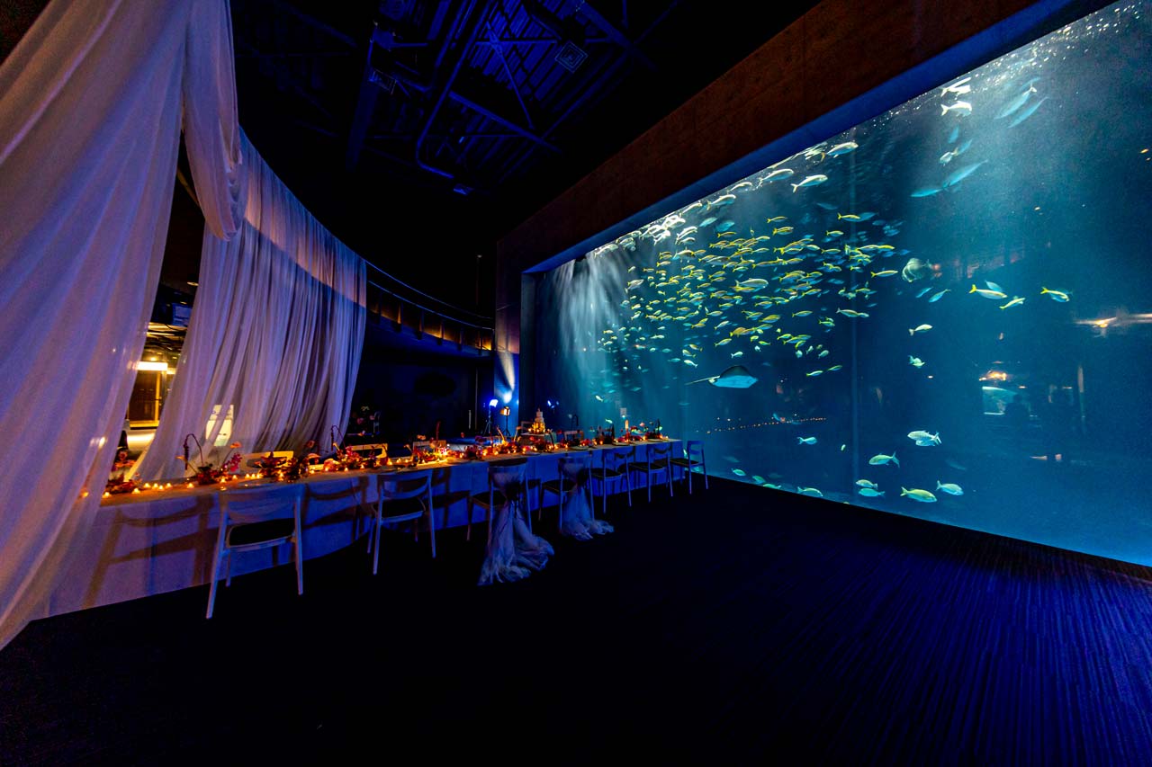 四国最大級の水族館