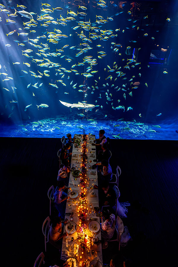 パーティーイメージ