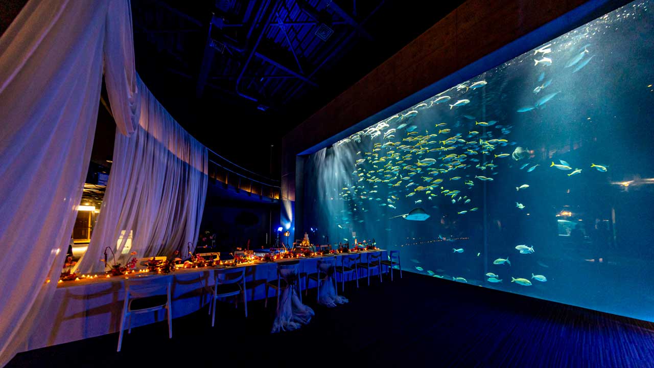 パーティー会場