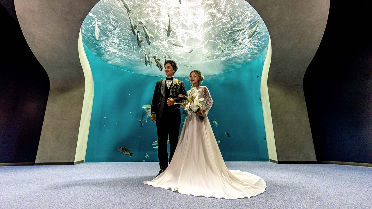 水槽の前で記念撮影